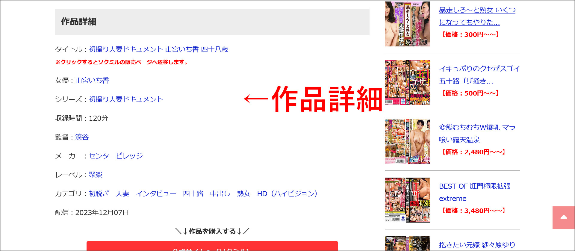 作品詳細を表示
